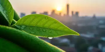 Shein e Sustentabilidade: Iniciativas para o Brasil em 2025 Folha verde com gotas de água e tecido, simbolizando sustentabilidade na moda.