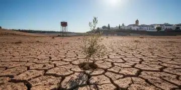 Paisaje árido y agrietado por la sequía en España, con un sol intenso y un embalse seco al fondo, reflejando la urgencia de la crisis climática.